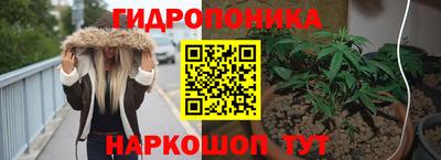 jwh Будённовск