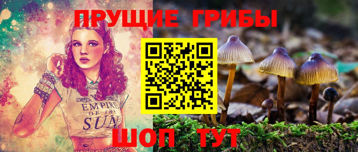 Галлюциногенные грибы ЛСД Ставрополь