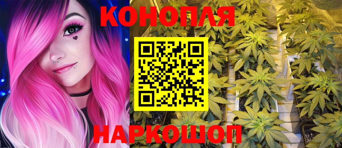 Шишки марихуана планчик Ставрополь